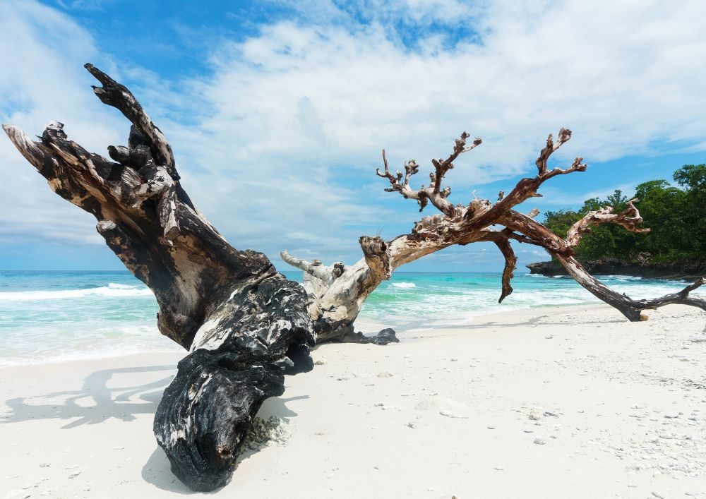Pulau Biak, Papua