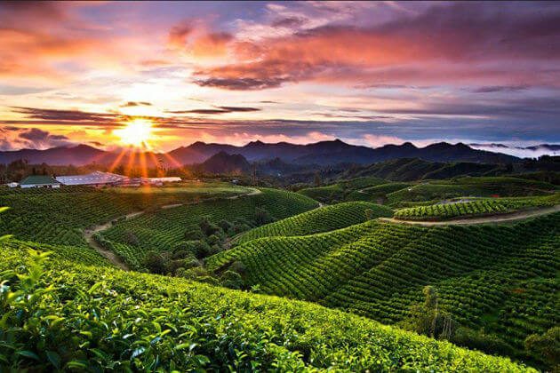 Malino Highlands, Gowa
