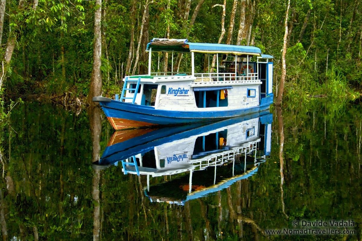 Tanjung Puting, Kalimantan Tengah